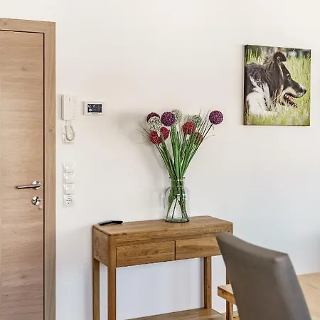 In/ski Out Jagahuett'n By Schladmingurlaub アパート *