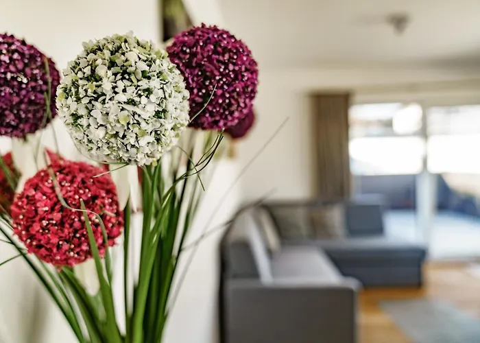 Appartement In/ski Out Jagahuett'n By Schladmingurlaub *