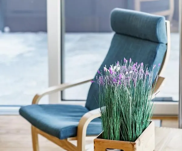 In/ski Out Jagahuett'n By Schladmingurlaub Appartement