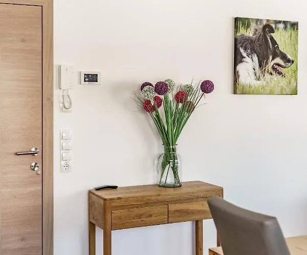 In/ski Out Jagahuett'n By Schladmingurlaub Appartement *